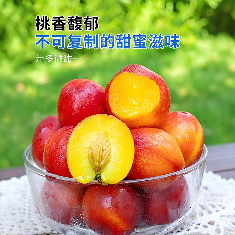 誉福园 黄心油桃 净重5斤（单果60~80g）