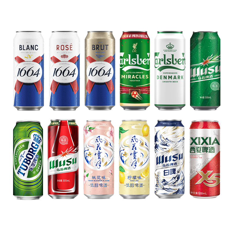 嘉士伯 全家福啤酒组合 500ML*12罐混合装