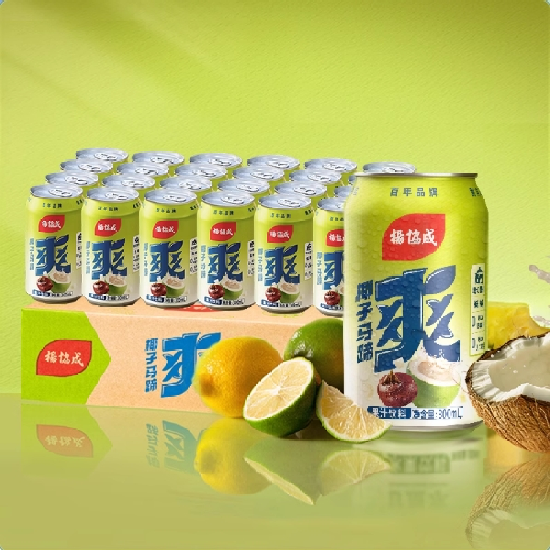 杨协成 椰子马蹄爽果肉饮料 300ML*24罐